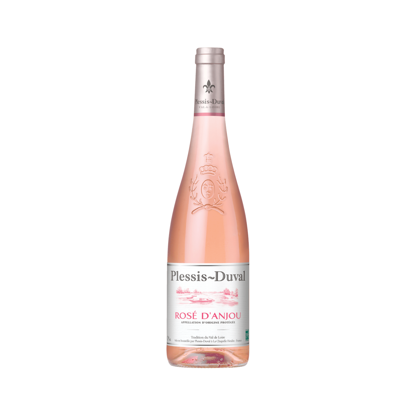 Plessis Duval Rose D`Anjou