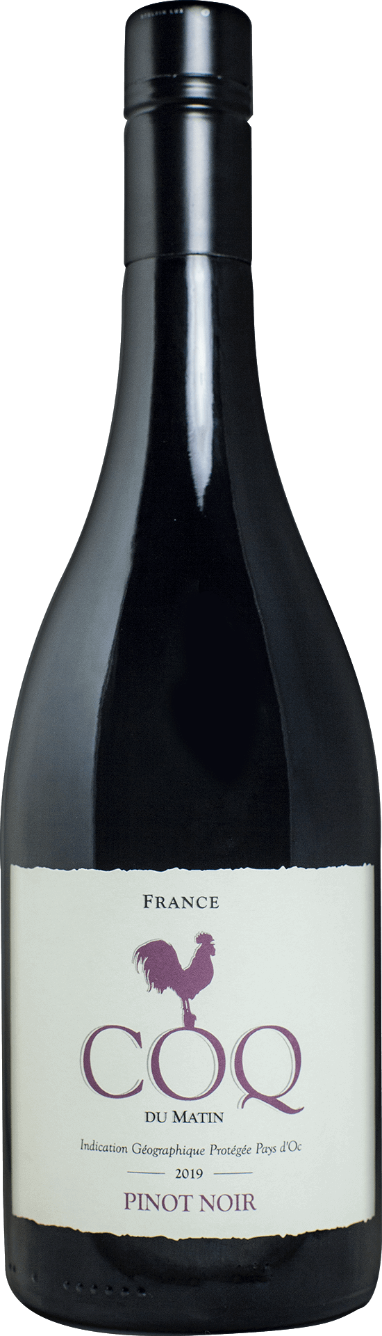 Pinot Noir, Coq du Matin, Laungedoc, Prantsusmaa