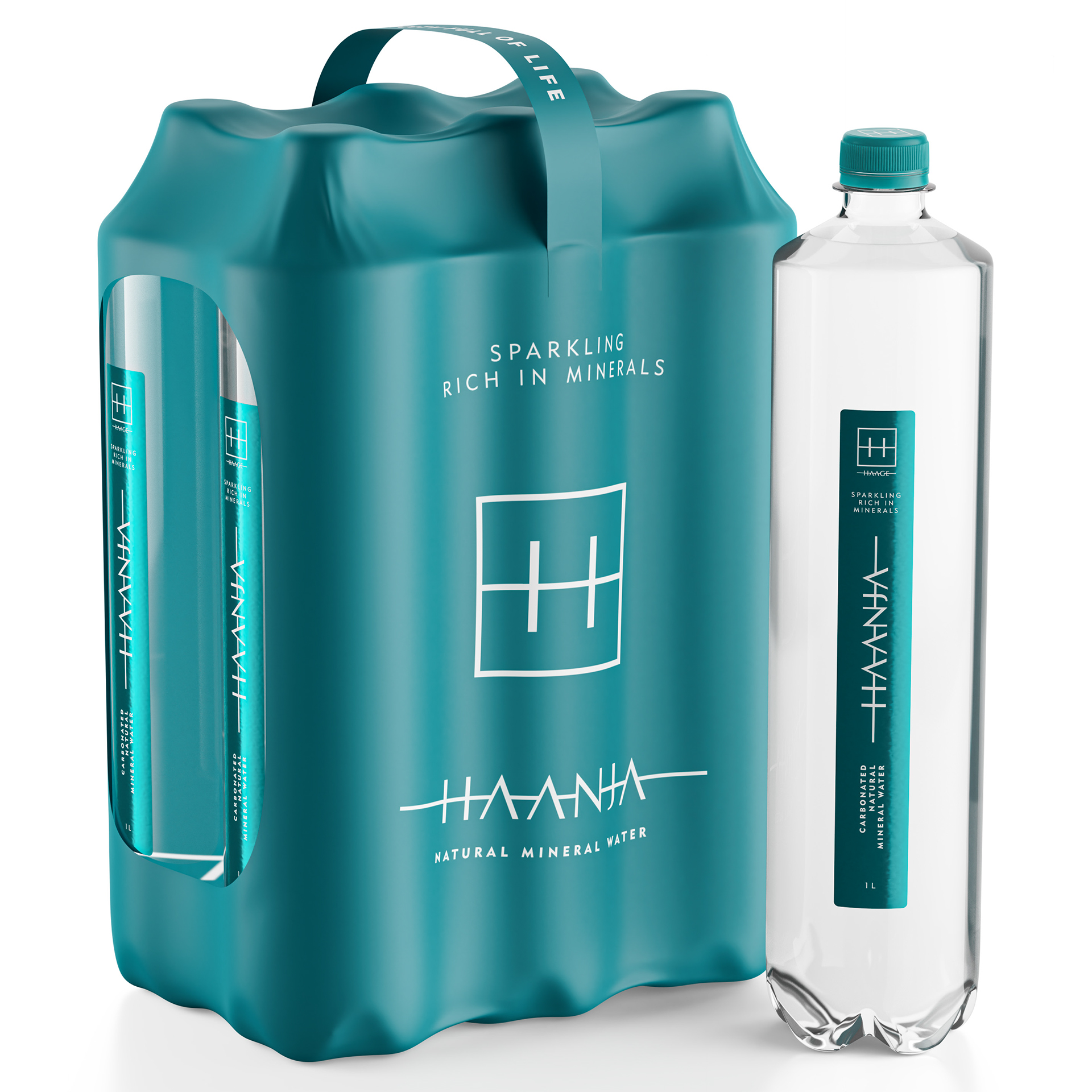 HAANJA KARBONISEERITUD LOODUSLIK MINERAALVESI 100CL PET