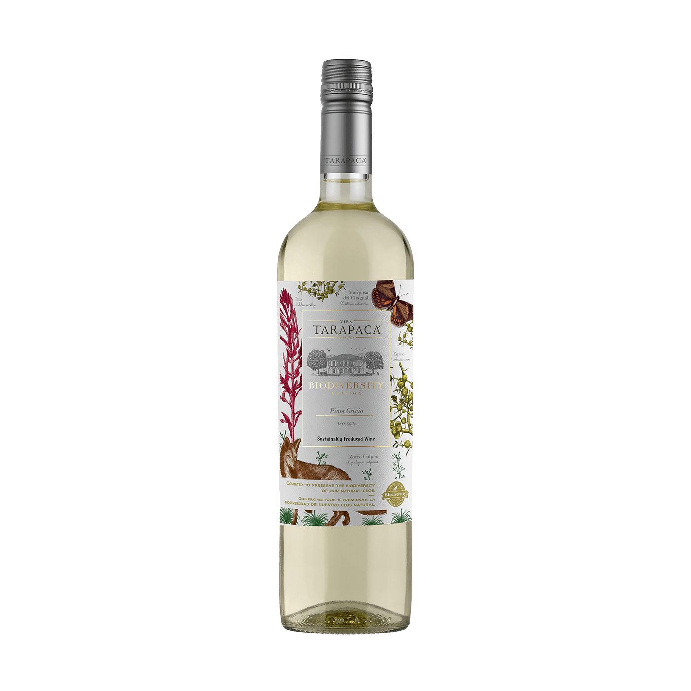 Tarapaca Biodiveristy Pinot Grigio