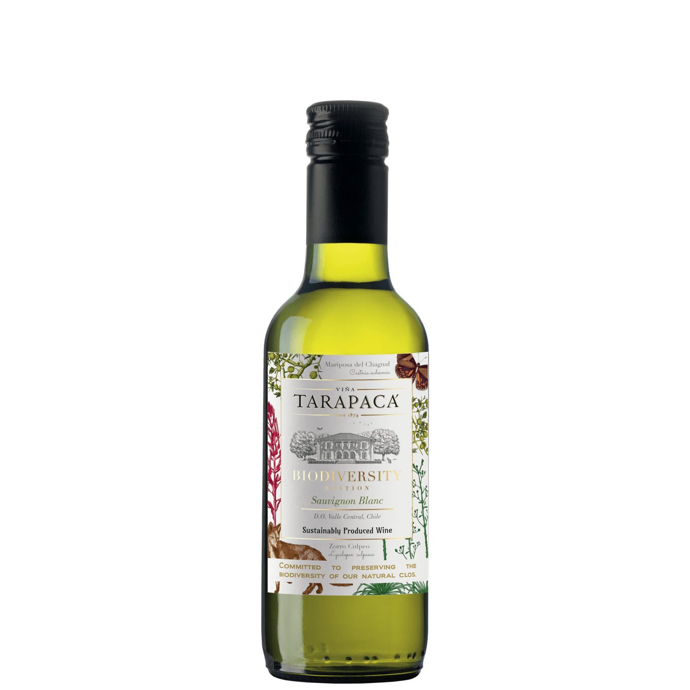Tarapaca Sauvignon Blanc