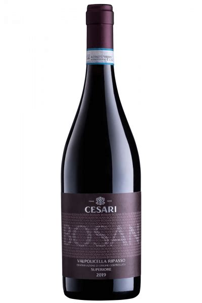 Cesari Valpolicella Ripasso Superiore "Bosan" 2019