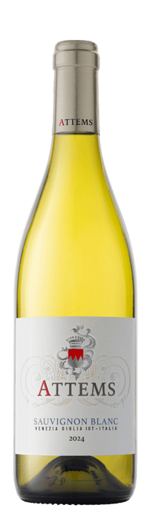 Attems Sauvignon Blanc Friuli Venezia Giulia IGT 2024