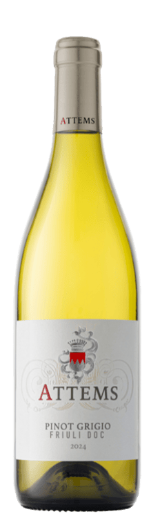 Attems Pinot Grigio Friuli DOC 2024