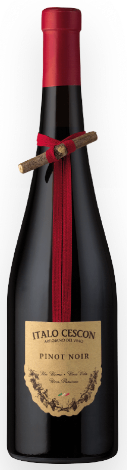 Pinot Noir, Italo Cescon, Piave, Veneto, Itaalia
