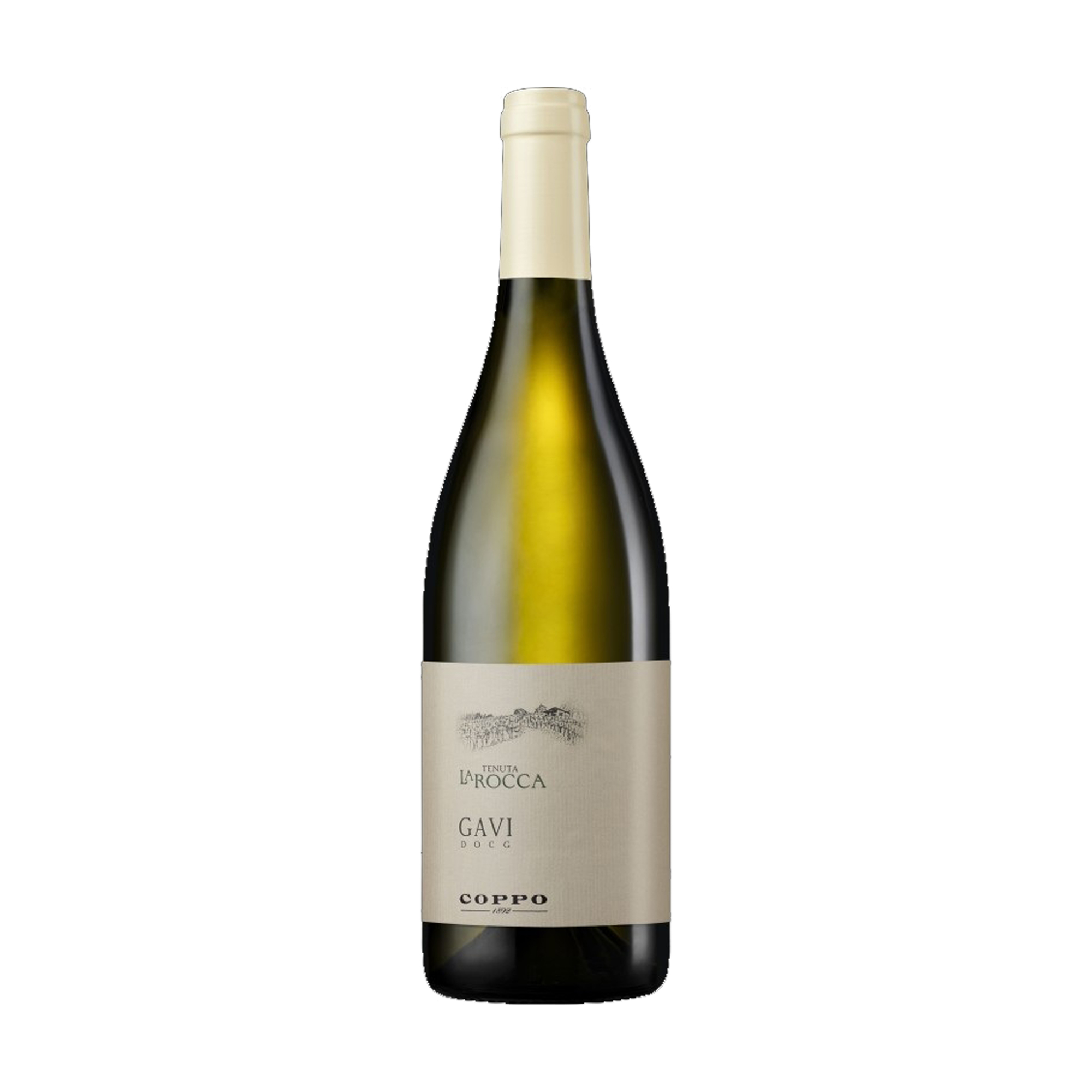 COPPO LA ROCCA GAVI 2025