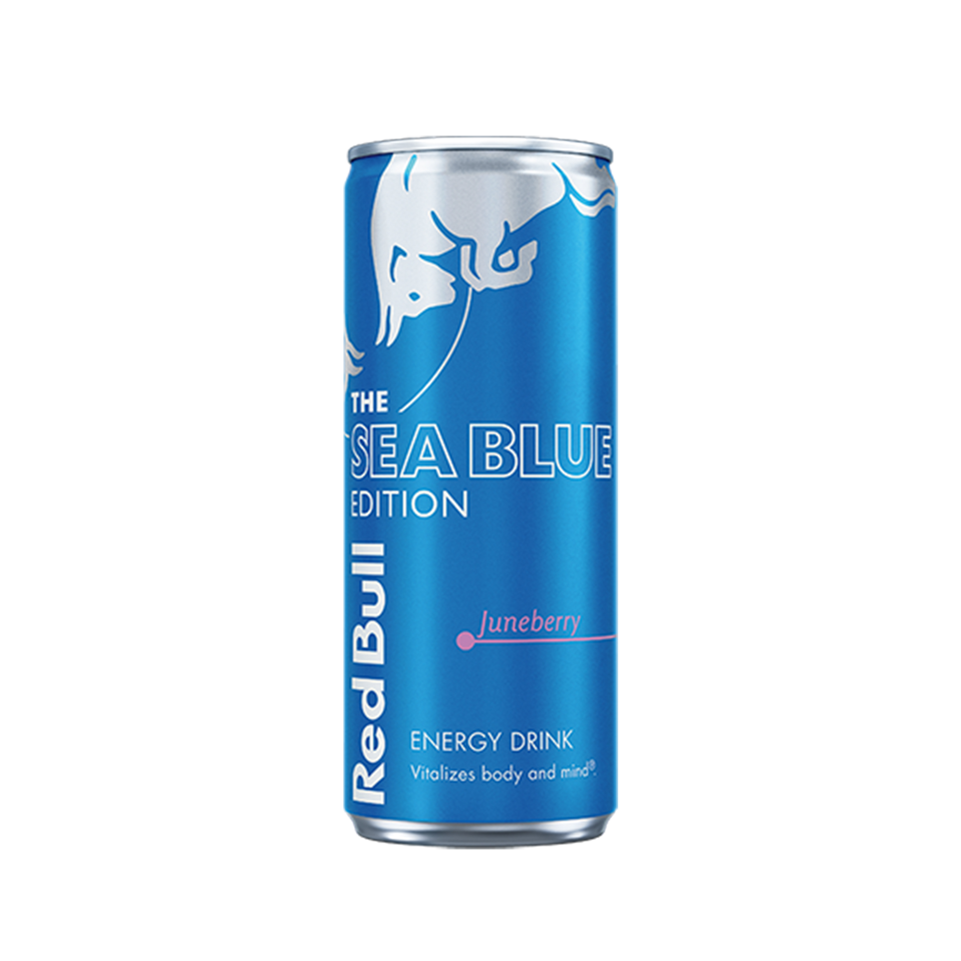 RED BULL ENERGIAJOOK SEA BLUE EDITION 25CL (purk)
